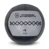 Wall ball en cuir de marque Titanium Strength
