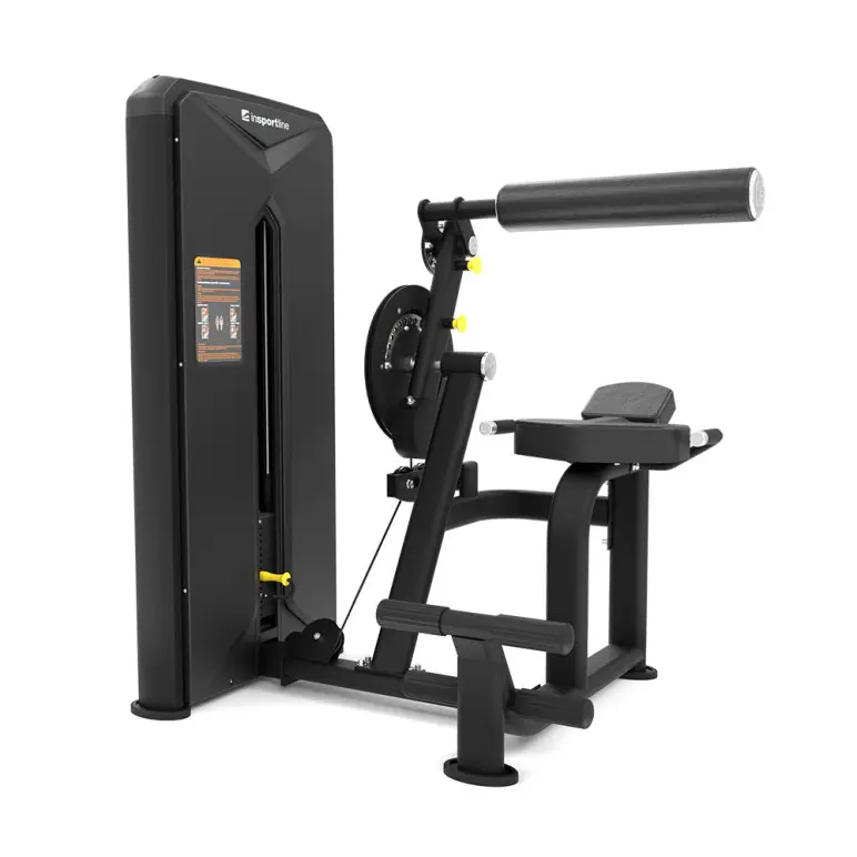 Station professionnelle pour le dos et les abdominaux