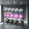 Rack de rangement avec ballons de gymnastique x13 - vue 5