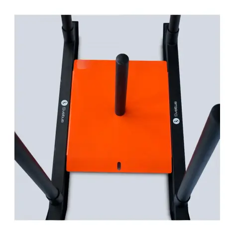 Traineau de force pour poids 50 mm - vue 2