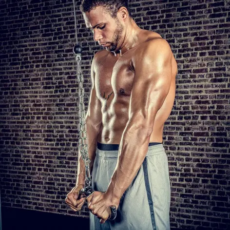 Barre triceps / curl en V de 38 cm avec embouts arrondis - vue 3