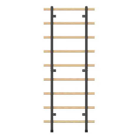 Espalier en bois avec cadre en acier à fixation murale pour entraînement fonctionnel