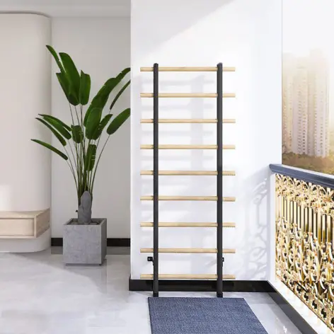 Espalier avec barre de traction et barres parallèles - vue 4