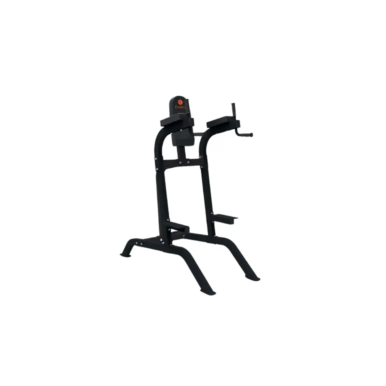 Chaise Romaine en acier robuste capacité de charge 200 kg pour Home-Gym