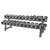 Ensemble haltères chromés de 2,5 à 30 kg avec rack de rangement