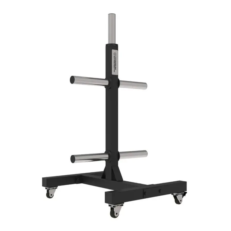 Support pour disques de poids