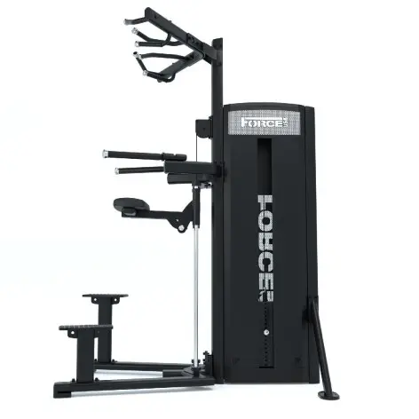 Dips et tractions machine Force USA