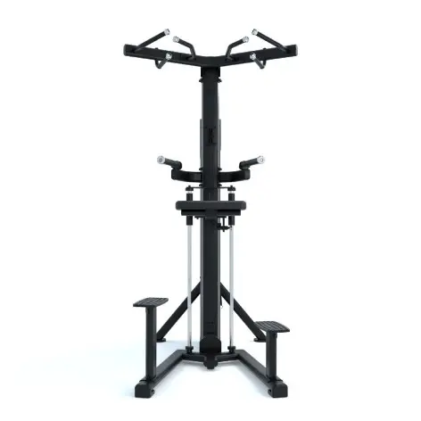 Assisted dips et tractions station