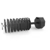 Octa dumbbells ATX