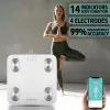 Balance intelligente d'analyse corporelle
