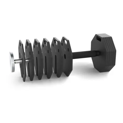 Haltères octogonales ATX 2 x 24 kg avec support de rangement
