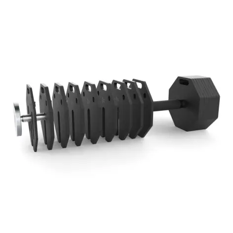 Haltères ajustables ATX avec support de rangement intégré