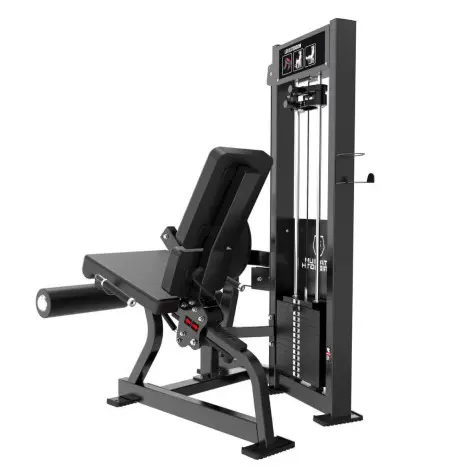 Station professionnelle pour quadriceps en salle de sport