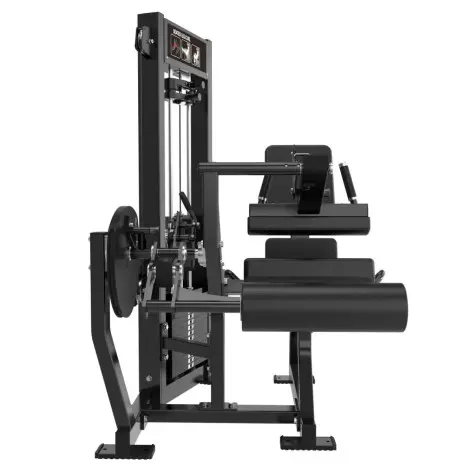 Machine curl femoral assis