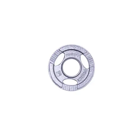 Disques 1,25 kg