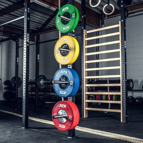 Support pour rangement des disques olympiques sur rig de crossfit