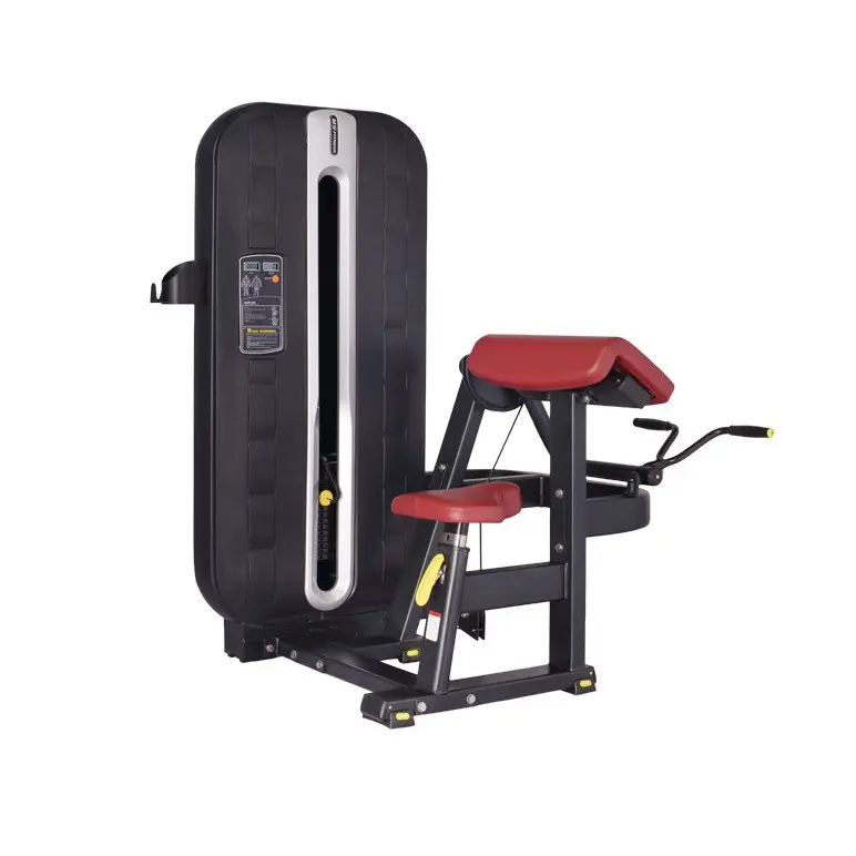 Machine musculation professionnelle à biceps curl