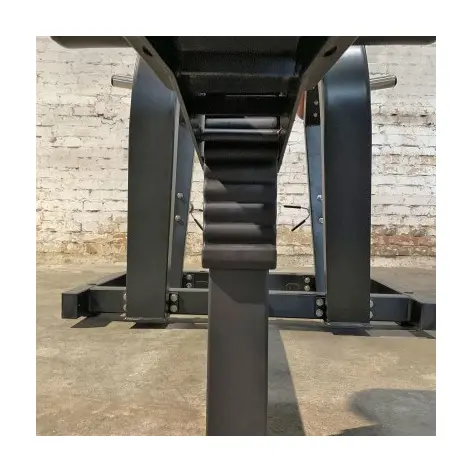 Appareil professionnel Lat pulldown pour les dorsaux - vue 4