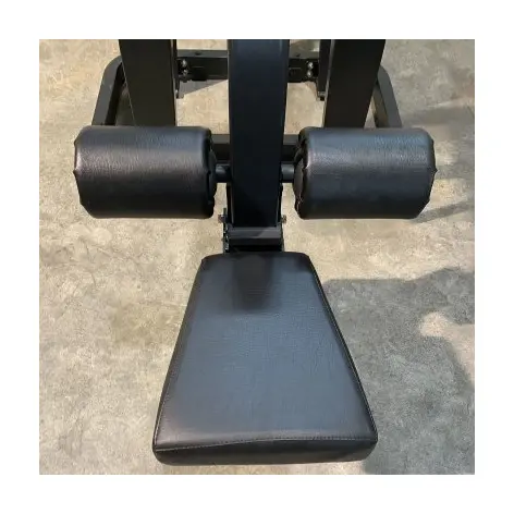 Appareil professionnel Lat pulldown pour les dorsaux - vue 5