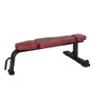 Banc simple de musculation professionnel