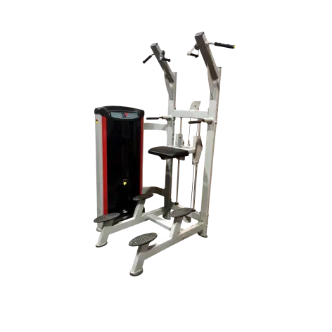 Station chaise romaine avec système d'assistance et colonne de poids 100 kg