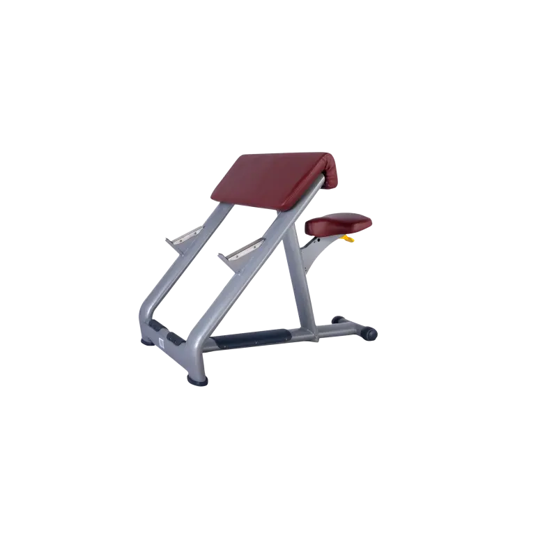 Pupitre à biceps professionnel siège réglable