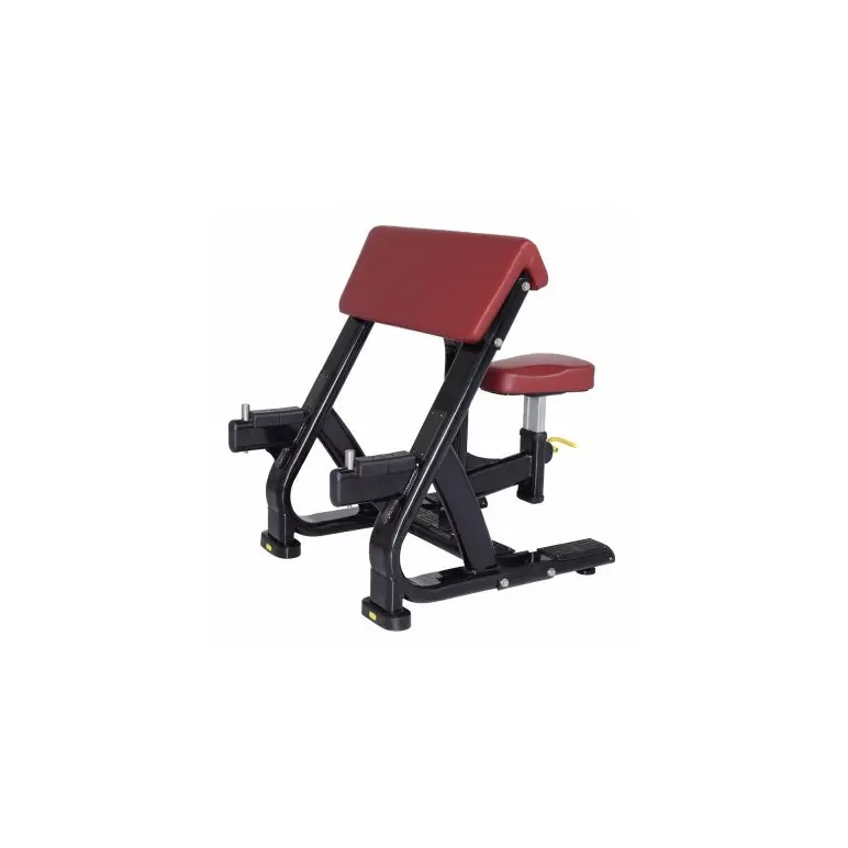 Pupitre à biceps professionnel
