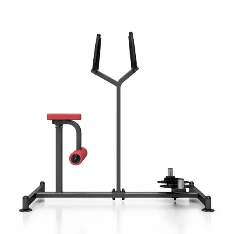 Twister assis et debout professionnel - vue 4