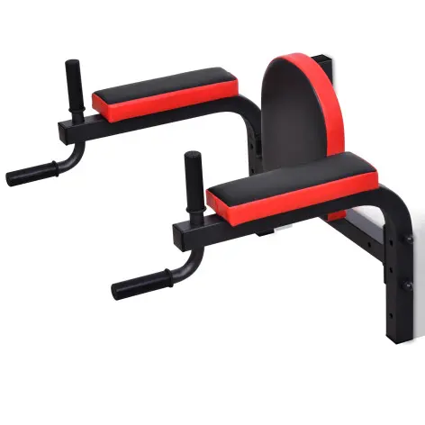 Station dips et abdos à fixation murale 200 kg - vue 2