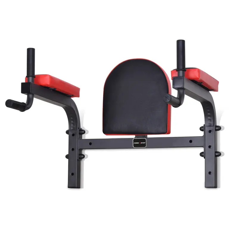 Station dips et abdos à fixation murale 200 kg