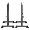 Barres parallèles pour exercices de dips - vue 2