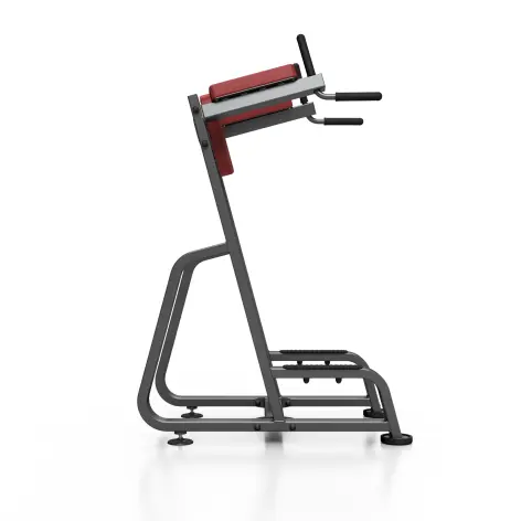 Station de dips et abdominaux professionnelle charge 150 kg - vue 2