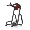 Station de dips et abdominaux professionnelle charge 150 kg