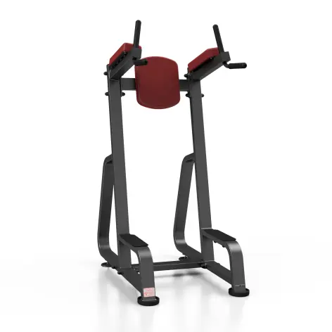 Station de dips et abdominaux professionnelle charge 150 kg - vue 3