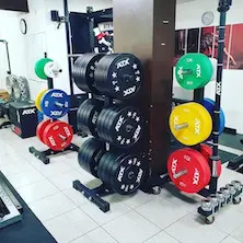 Salle de musculation set-up avec disques de poids multiples de marque ATX fitness