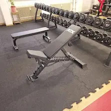 Banc de musculation ATW warrior avec dossier large pour entraînement musculaire