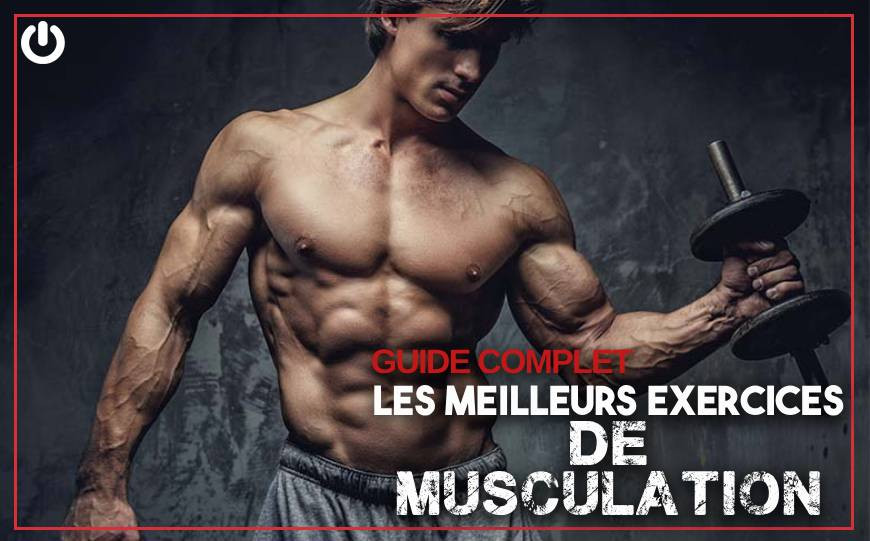 Les Meilleurs Exercices de Musculation : guide complet muscle par muscle 
