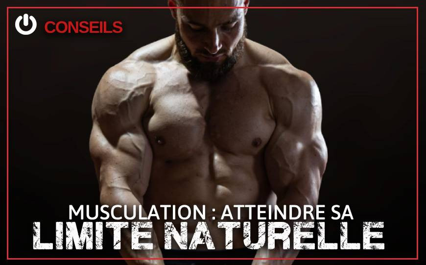 Quelle est la limite naturelle en musculation ?