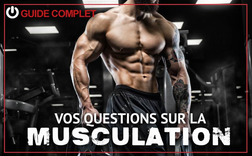 Vos questions sur la musculation : nos experts répondent 