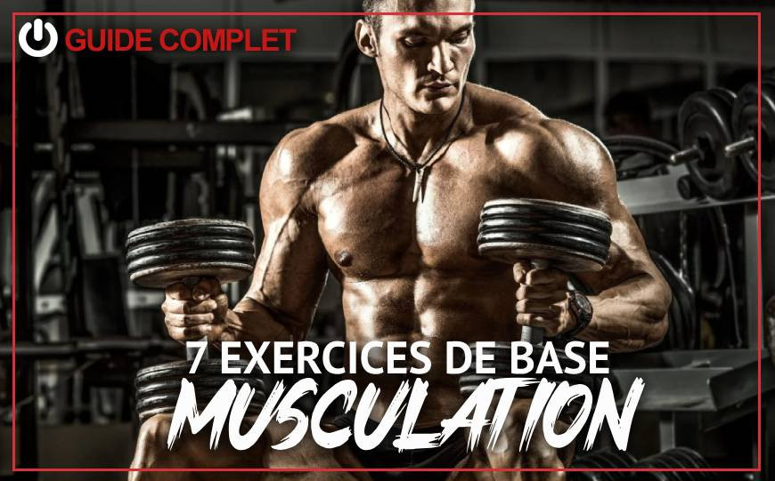 Les 7 exercices de musculation de base pour une transformation physique réussie