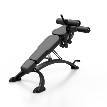 Abdominaux / Dips / Lombaires